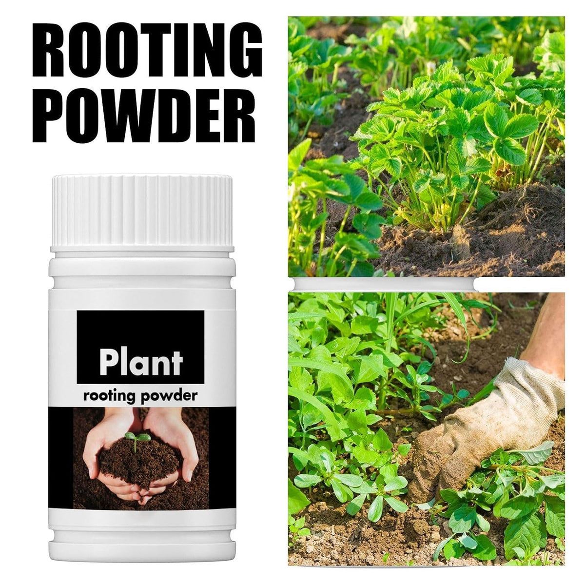 Rooting Powder for Cuttings 100g,Root Stimulator