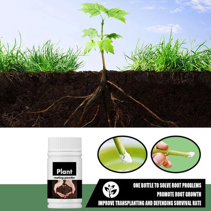 Rooting Powder for Cuttings 100g,Root Stimulator