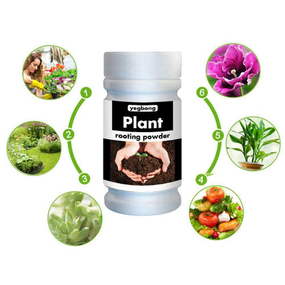 Rooting Powder for Cuttings 100g,Root Stimulator