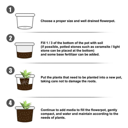 Rooting Powder for Cuttings 100g,Root Stimulator
