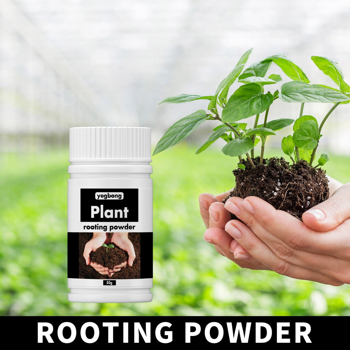 Rooting Powder for Cuttings 100g,Root Stimulator